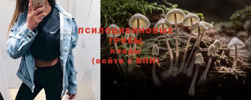 Псилоцибиновые грибы Psilocybine cubensis  купить  сайты  Емва 